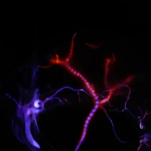 Dysprosium (Dy) glowing plasma discharge, photo 6 of 13