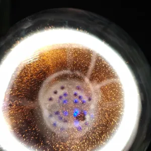 Carbon (C) glowing plasma discharge, photo 2 of 23