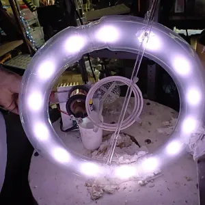 Argon (Ar) glowing plasma discharge, photo 1 of 16
