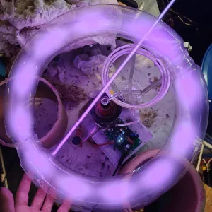Argon (Ar) glowing plasma discharge, photo 2 of 16