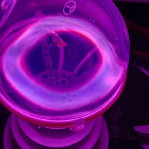 Europium (Eu) glowing plasma discharge, photo 7 of 18