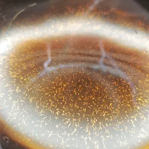 Carbon Dusty Plasma, photo 1 of 22