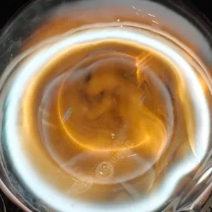 The Black Hole Flask, photo 2 of 13