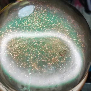 Carbon Dusty Plasma, photo 10 of 22