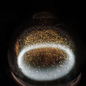Carbon Dusty Plasma, photo 11 of 22