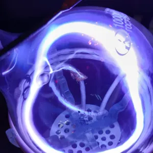 Cobalt (Co) glowing plasma discharge, photo 7 of 11