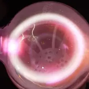 Thulium (Tm) glowing plasma discharge, photo 3 of 11