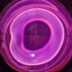 Europium (Eu) glowing plasma discharge, photo 15 of 18