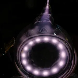 Krypton (Kr) glowing plasma discharge, photo 15 of 19