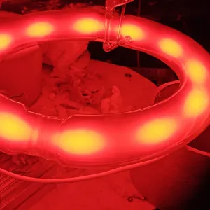 Donut vessels (toroids), photo 49 of 79