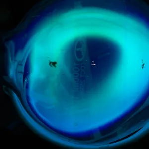 Chromium (Cr) glowing plasma discharge, photo 14 of 15