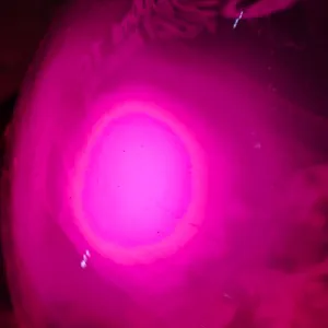Hydrogen (H) glowing plasma discharge, photo 5 of 12